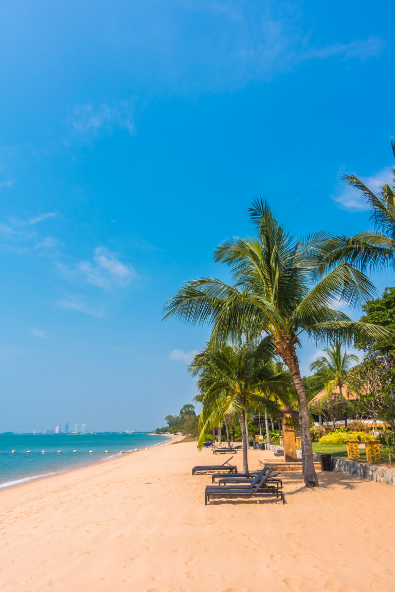 Beautiful beach and sea with palm tree