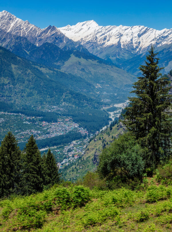 Spring in Kullu valley in Himalaya mountains. Himachal Pradesh, India
